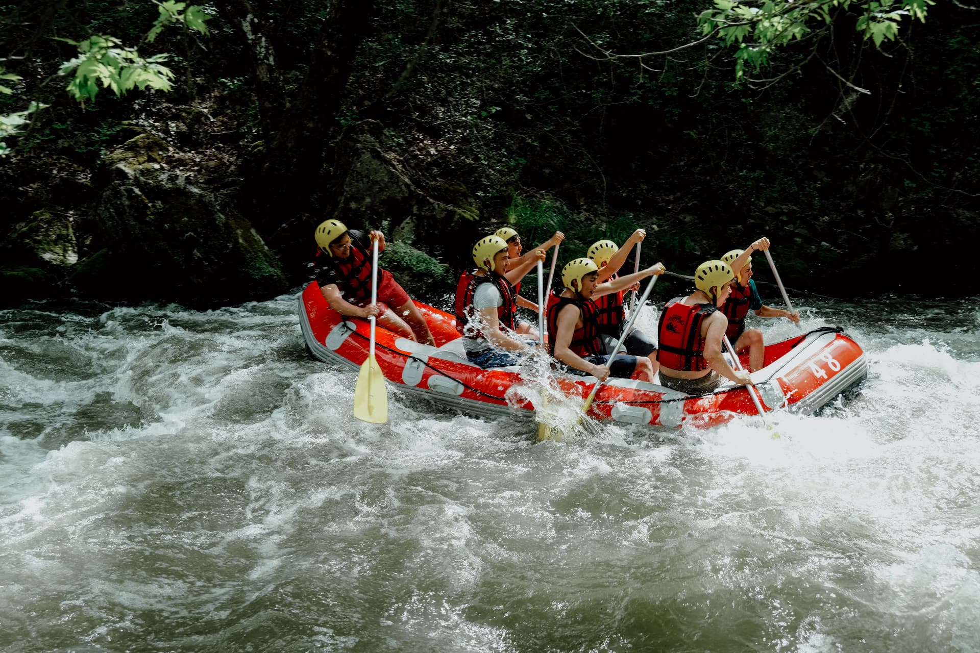 Team rafting through whitewater in a Dalmatian river canyon