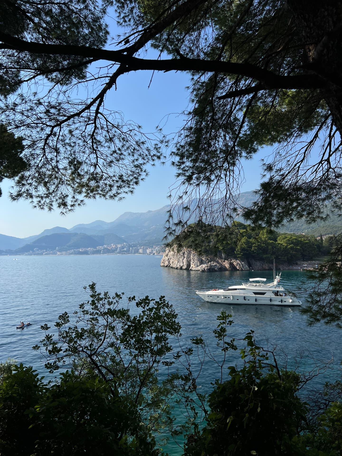 White yacht anchored in a quiet pine-framed bay